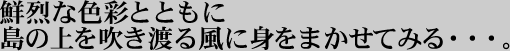 �N��ȐF�ʂƂƂ��ɁA���̏�𐁂��n�镗�ɐg��C���Ă݂�E�E�E�B