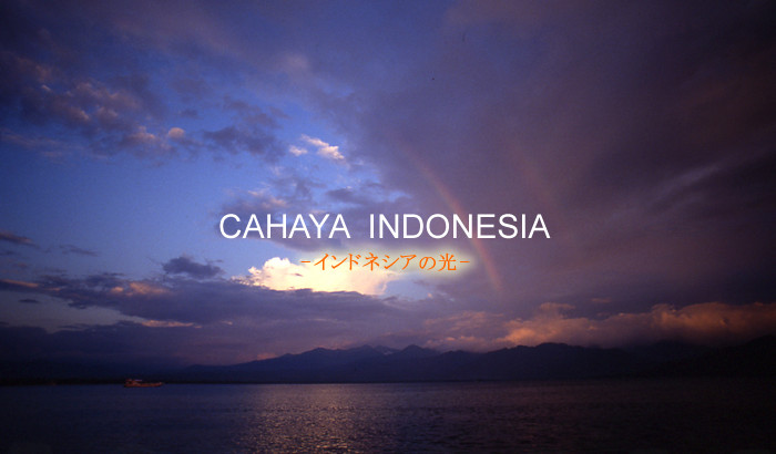 CAHAYA INDONESIA�@-�C���h�l�V�A�̌�-