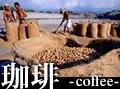 ���� -coffee-