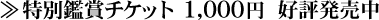 ���ʊӏ܃`�P�b�g 1,000�~�@�D�]������