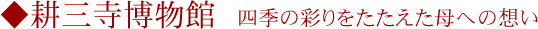 �k�O��������